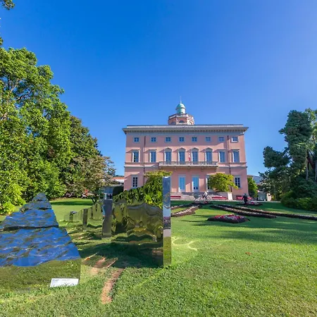 Star Of - Happy * Lugano