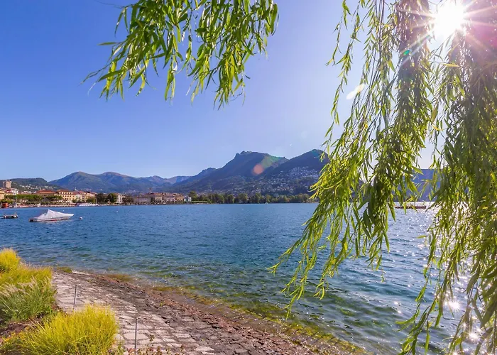 Star Of - Happy Apartman *